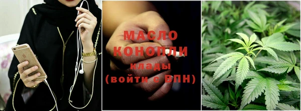 дмт Пестово
