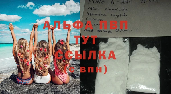 трава Балахна